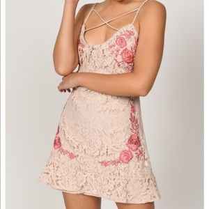 NUDE LACE EMBROIDERED DRESS